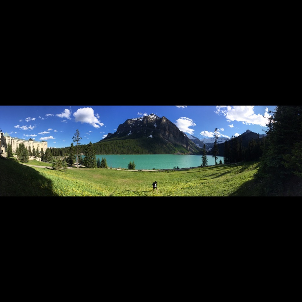 Meet your Posher, Mayra